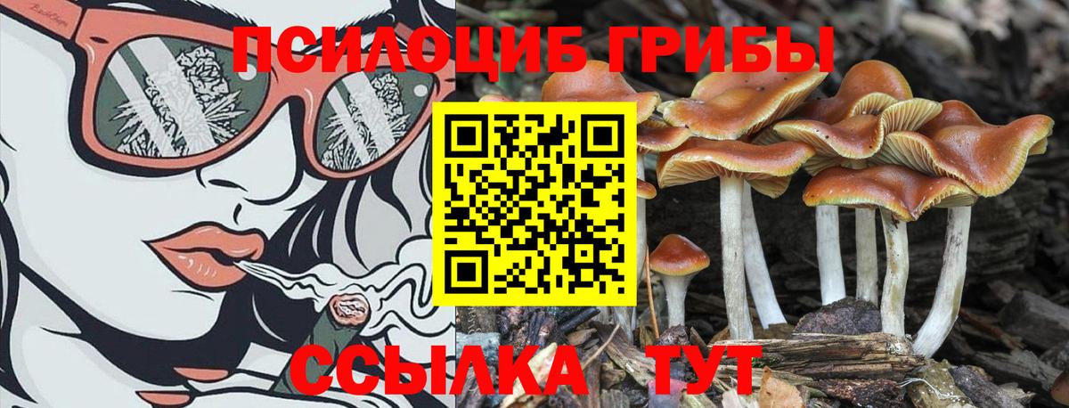 Галлюциногенные грибы ЛСД Партизанск