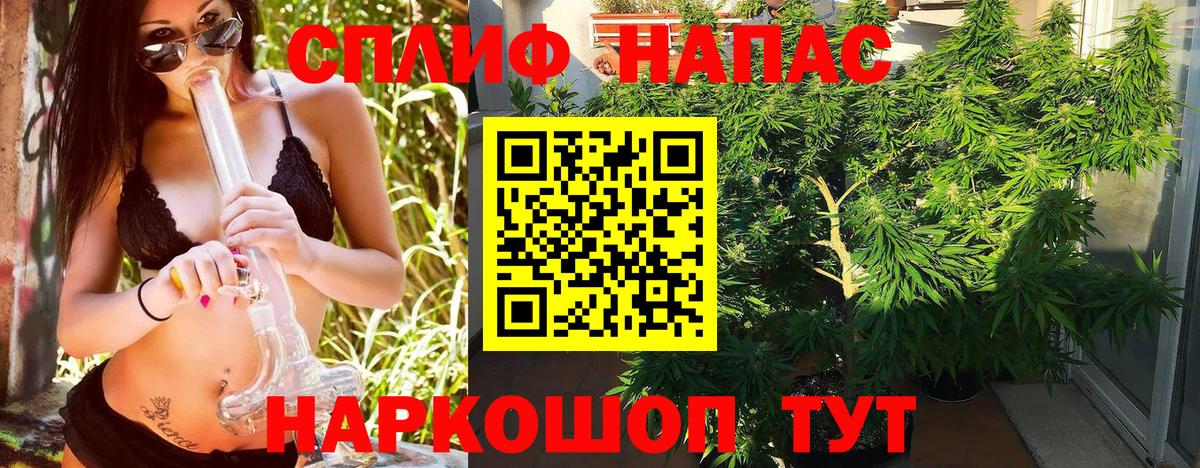 Шишки марихуана OG Kush Партизанск